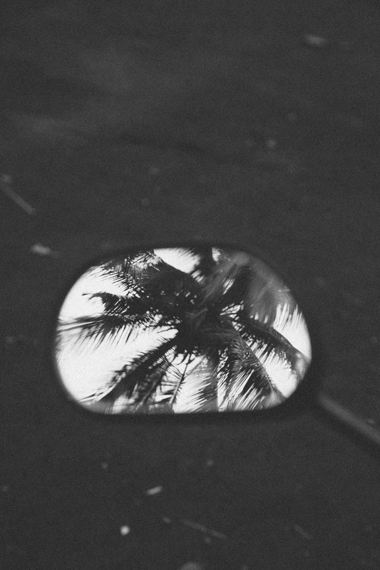 Palm tree in scooter mirror