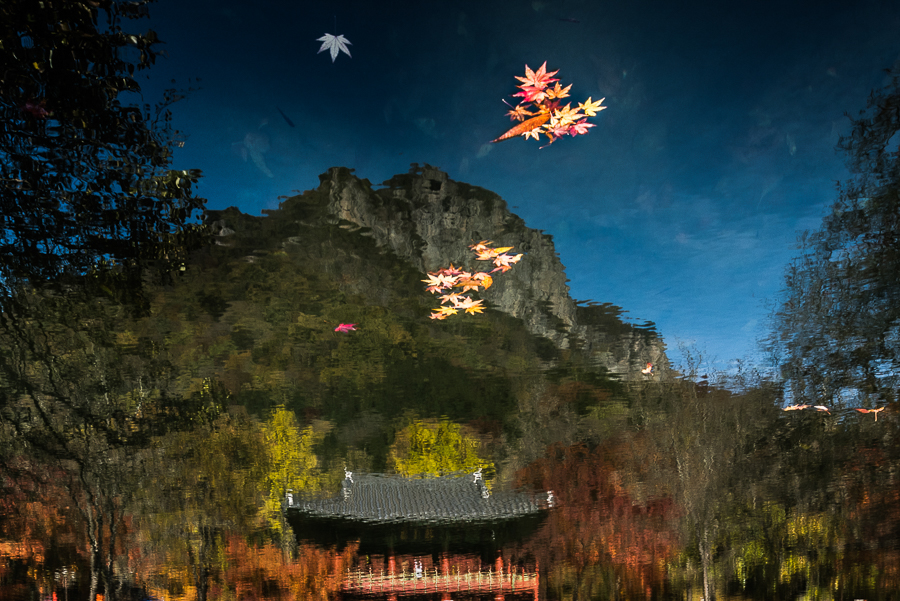 Reflection of Korean mountainside temple in water dotted with autumn leaves