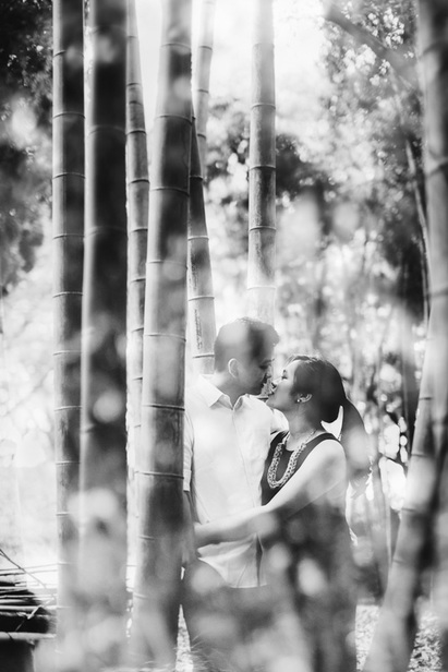 tkissing in bamboo grove