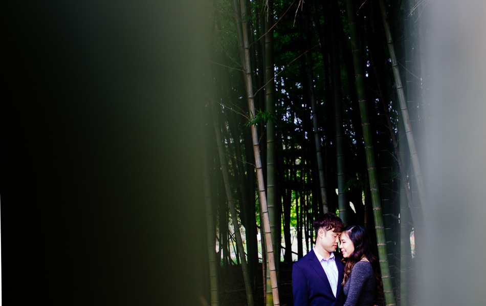 Megan and Michael pre-wedding portrait in bamboo