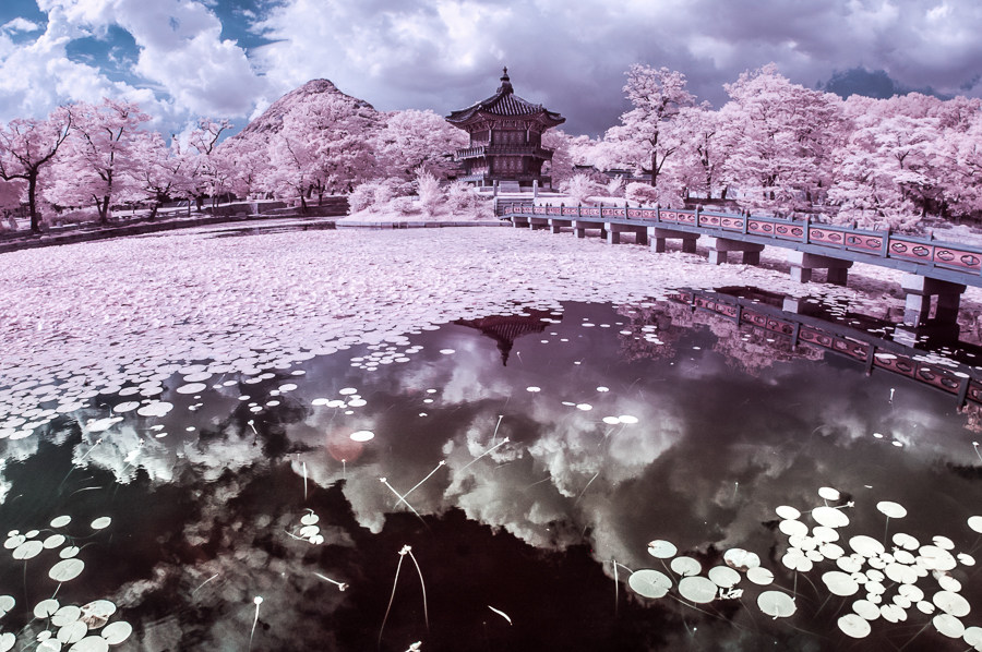 Korean temple is surrounded by a lake and cherry blossoms