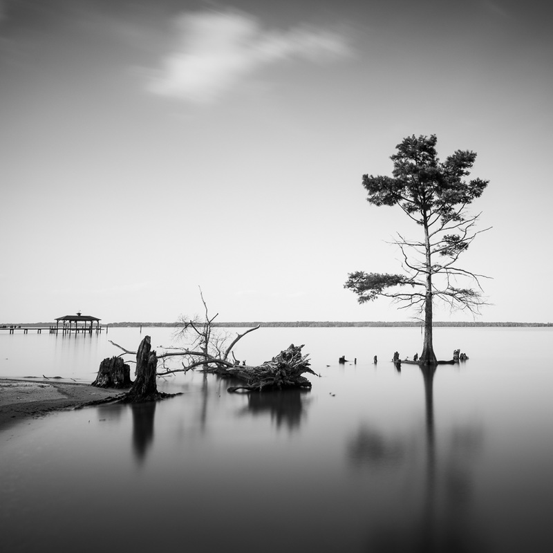 long exposure of a tree in the water in Korea