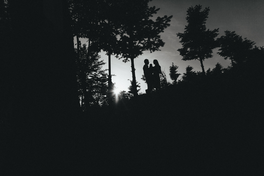 silhouette of family in a forest