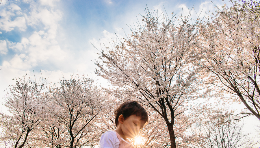 young girl in front of cherry trees