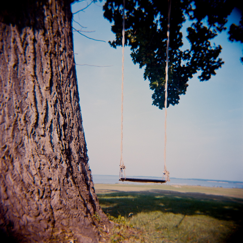 Lonely swing hangs from a tree