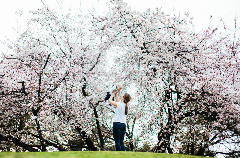 mother holding up son in front of giant cherry tree
