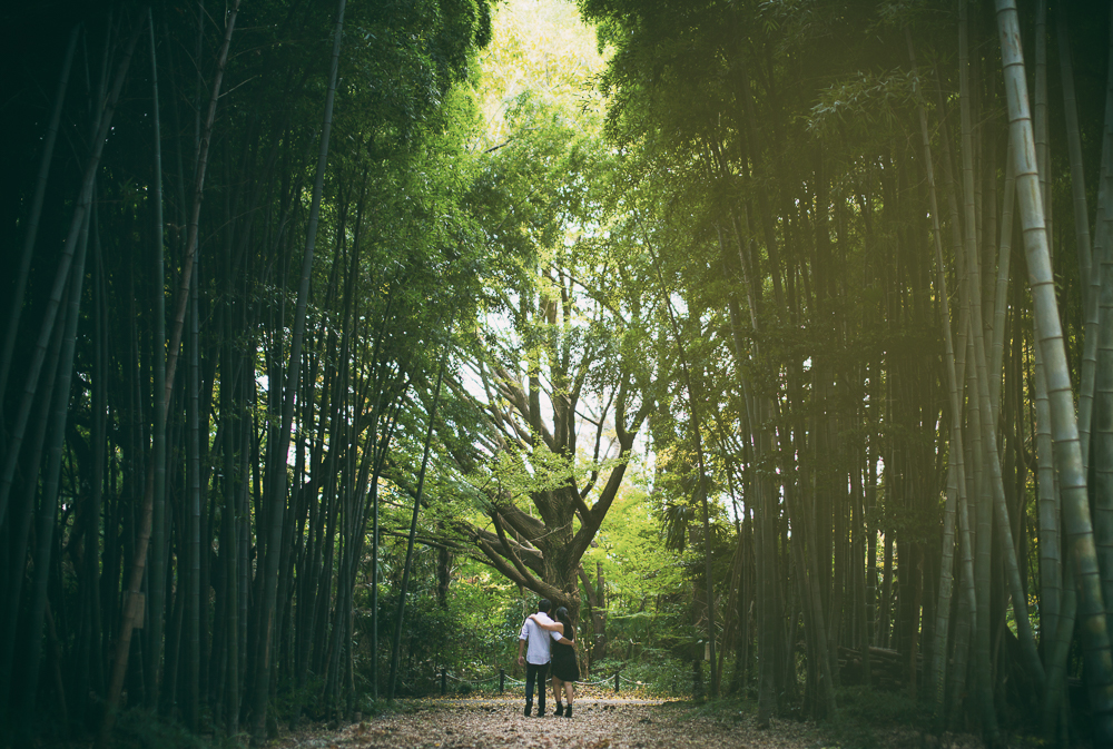 engagement portrait in Tokyo bamboo grove