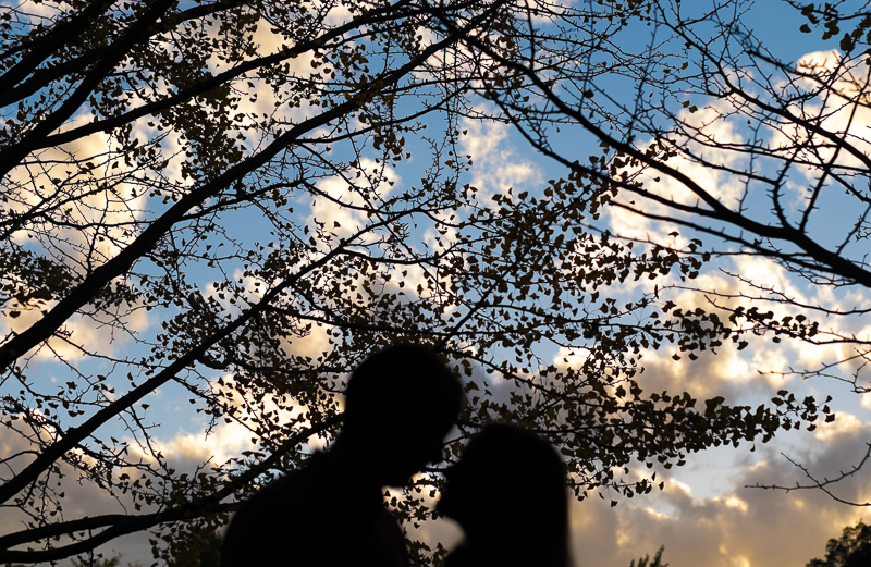 silhouette of a couple with ginko leaves