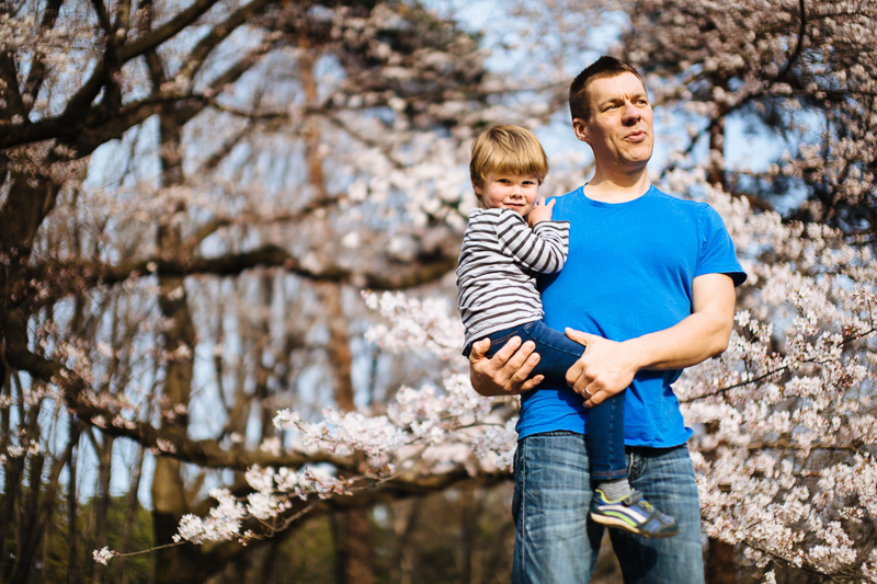 father with son in cherry trees