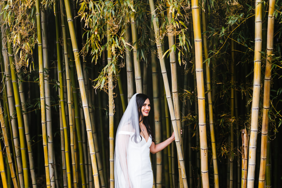 Amber bridal portrait in bamboo
