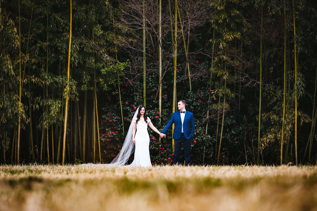 Wedding portrait near bamboo