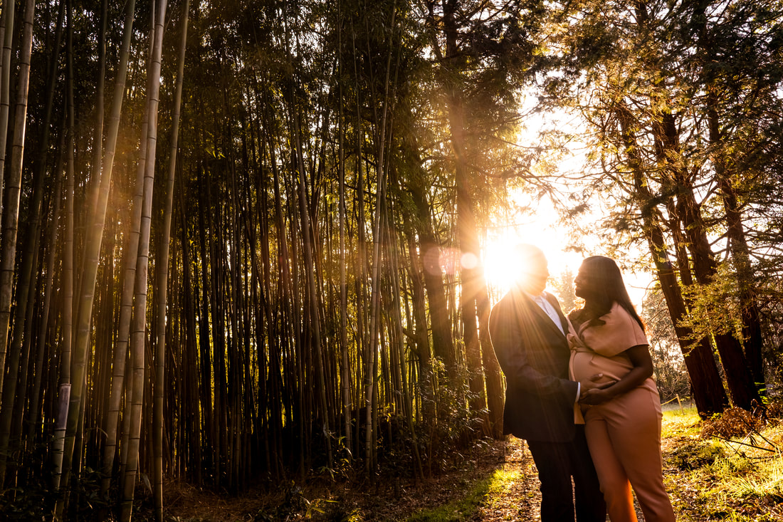 maternity session in bamboo forest
