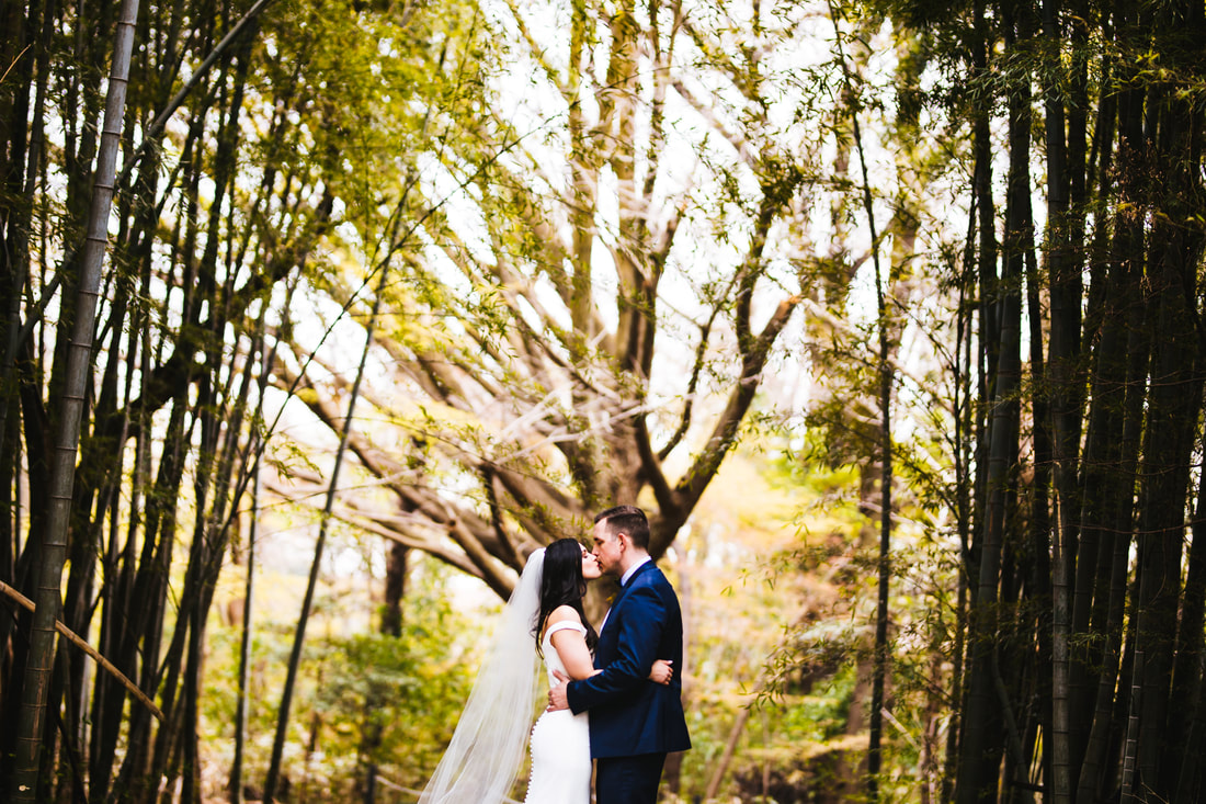 Couple kiss in bamboo forest