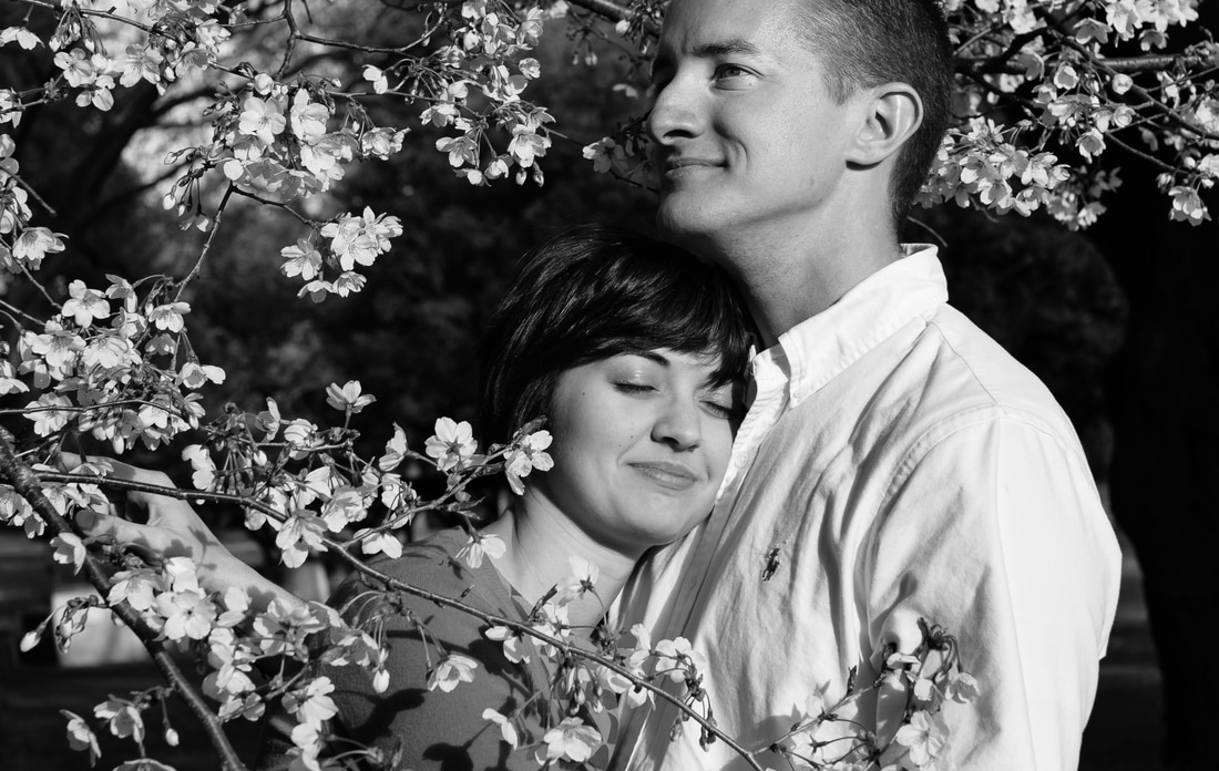 Couples portrait under sakura