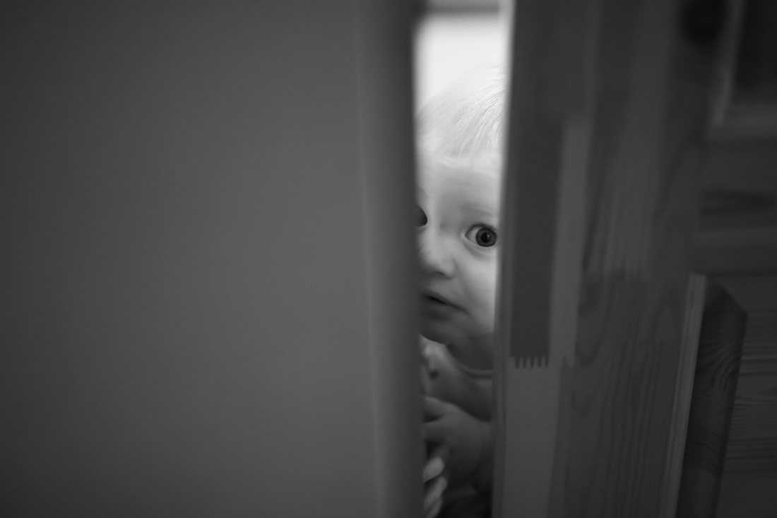 Milo peeking through the door