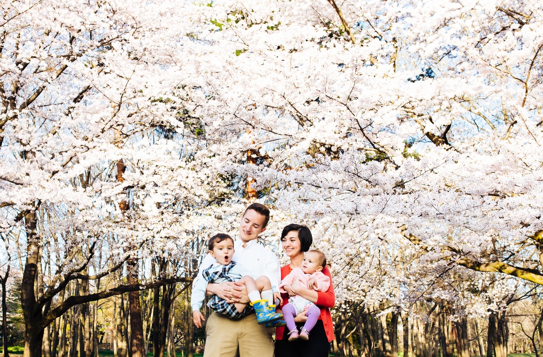 family portrait under sakura
