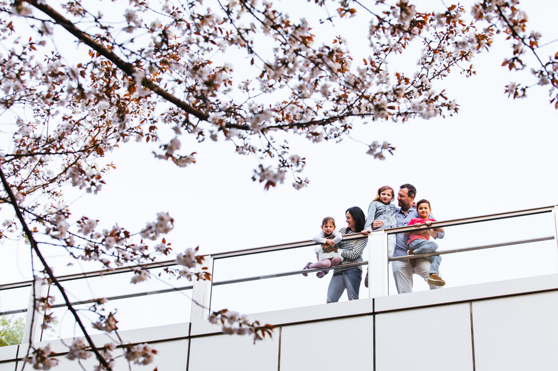 family on bridge with sakura