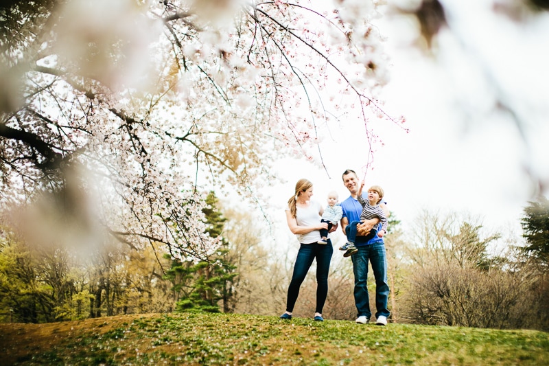 Harrison Family Cherry Blossoms
