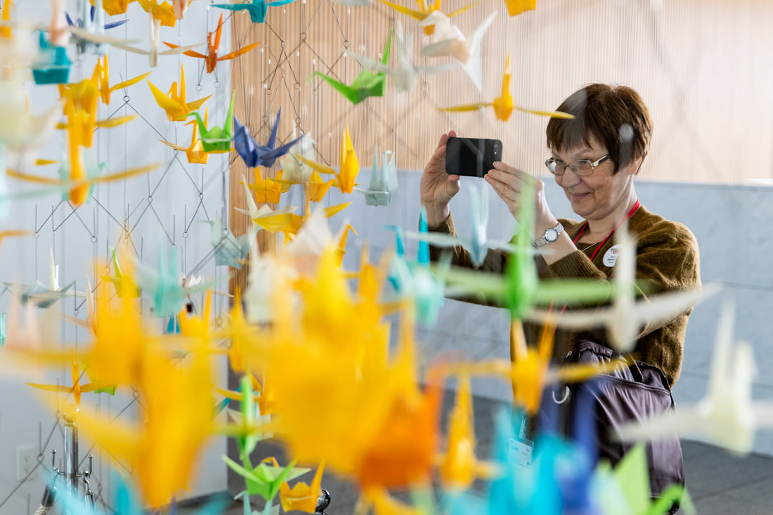 Guest photographing origami cranes