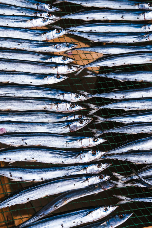 fish food photography