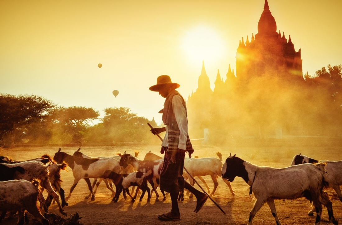 Bagan Myanmar Pete DeMarco
