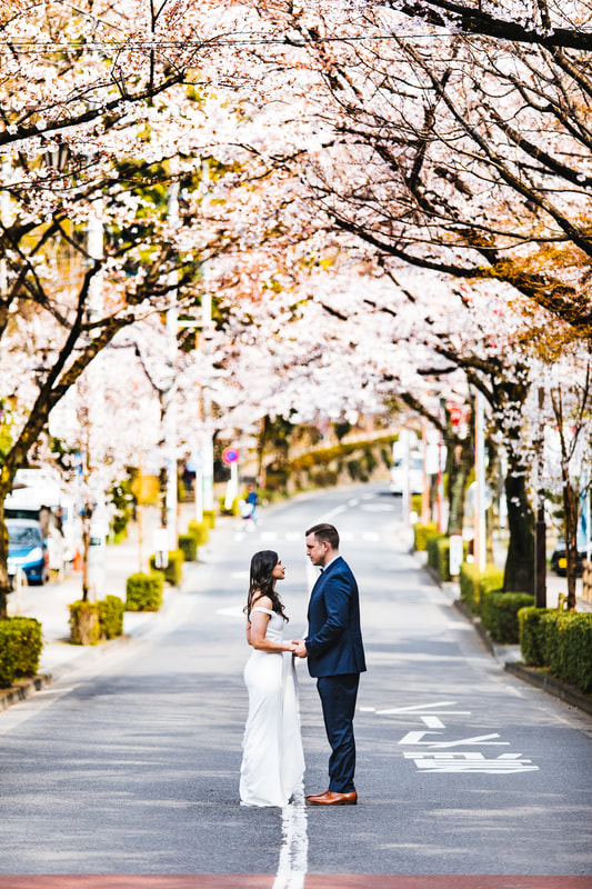 couple in sakura lined street