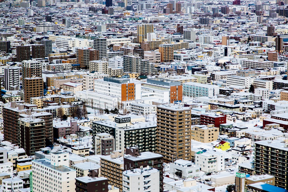 Sapporo from above