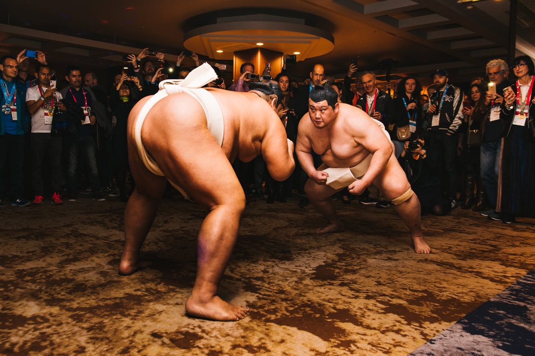 sumo wrestling demo