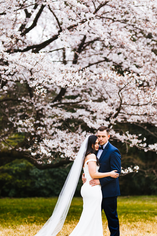 Amber and Justin embrace under sakura tree