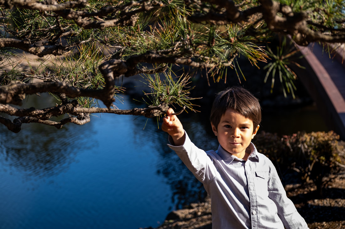 child holding onto Japanese pine